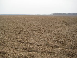 Property photo 5 - 414.5 +/- Acres Offered in 6 Tracts - Prime Indiana Farmland